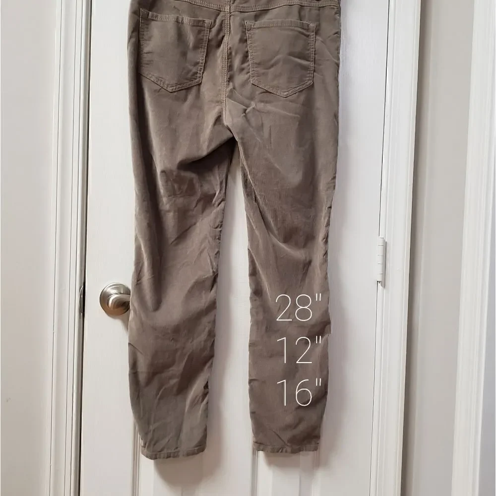 Free People Corduroy Pant 31